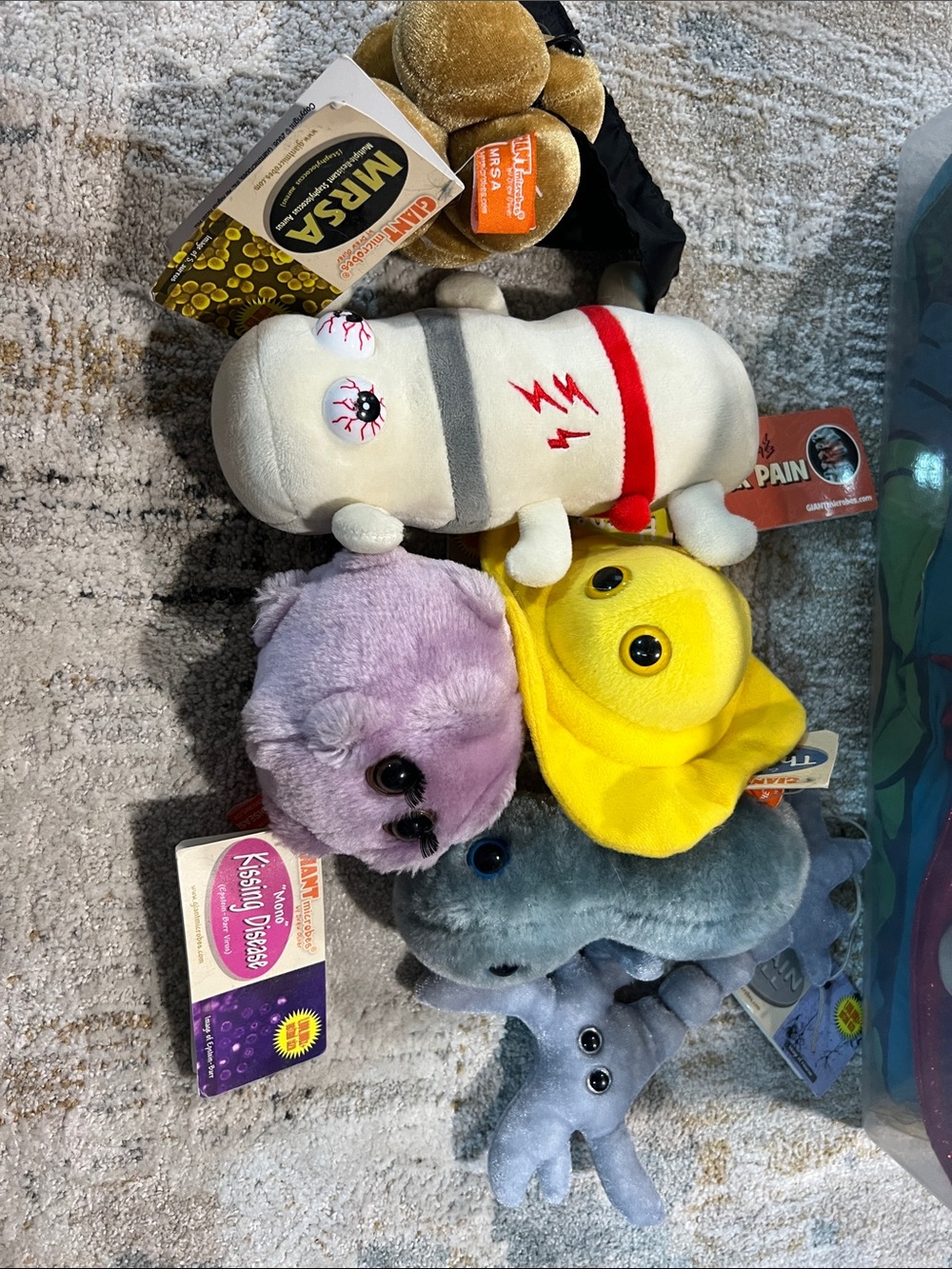 Giant microbes Plush Set mrsa back pain the clap mono herpes brain cell z31
